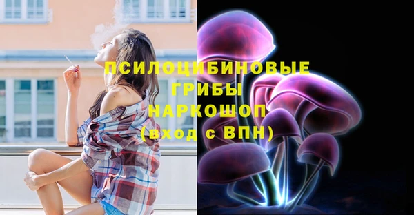 ALPHA PVP Инсар