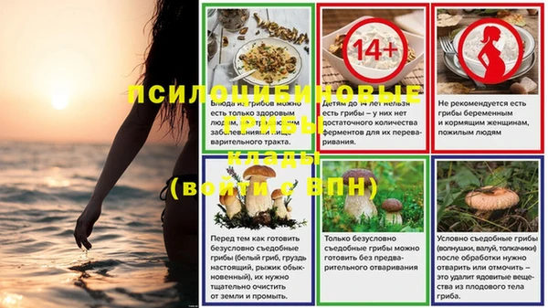 хмурый Инта