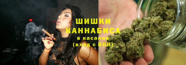 ALPHA PVP Инсар