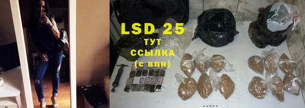 хмурый Инта
