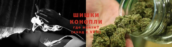 ALPHA PVP Инсар