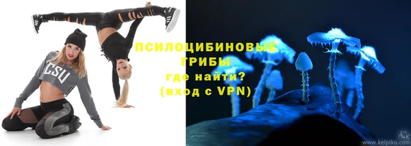 хмурый Инта