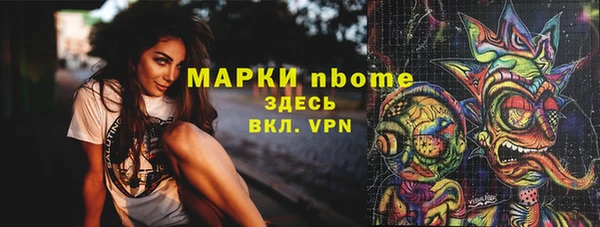 хмурый Инта