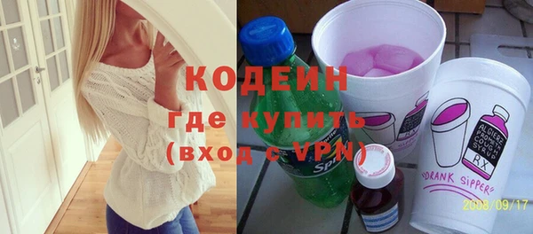 хмурый Инта