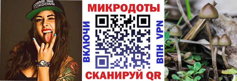 Купить закладки  Губаха  Галлюциногенные грибы GOLDEN TEACHER 